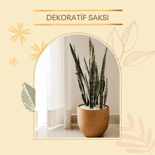 Dekoratif Saksı Dekoratif Saksı